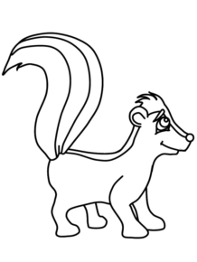 Disegno di puzzola da stampare e colorare 2