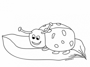 Disegno di coccinella da stampare e colorare 31