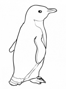 Disegno di pinguino da stampare e colorare 6
