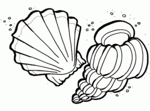 Disegno di conchiglia da stampare e colorare 11