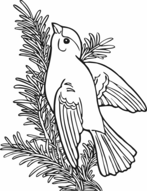 Disegno di passero da stampare e colorare 48