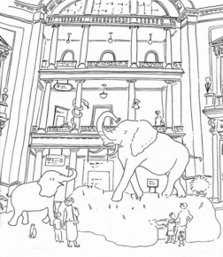 Disegno di elefante da stampare e colorare 117
