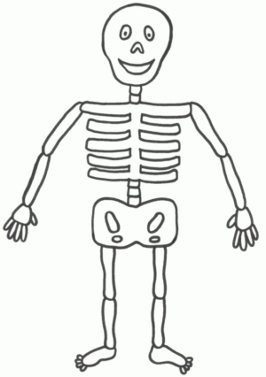 Disegno di parti del corpo da stampare e colorare 1