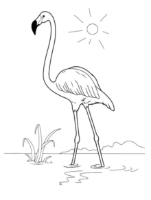 Disegno di fenicottero da stampare e colorare 27