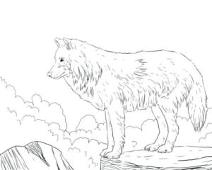 Disegno di lupo da stampare e colorare 42