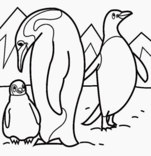 Disegno di pinguino da stampare e colorare 53