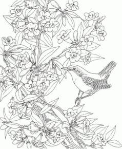 Disegno di passero da stampare e colorare 85