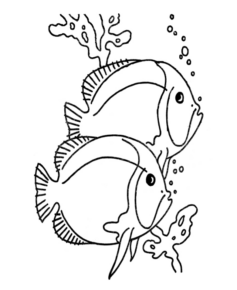 Disegno di pesce da stampare e colorare 218