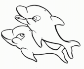 Disegni di Delfini da colorare