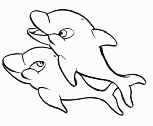 Disegno di delfino da stampare e colorare 12