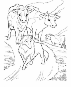 Disegno di mucca da stampare e colorare 25