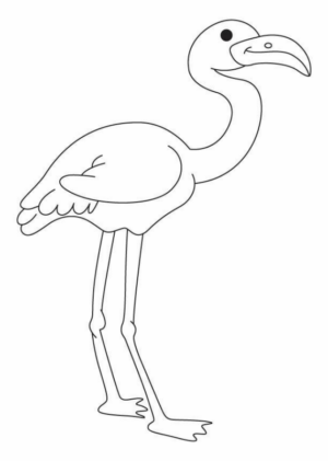 Disegno di fenicottero da stampare e colorare 4