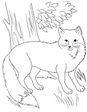 Disegno di volpe da stampare e colorare 32
