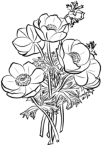 Disegno di fiore da stampare e colorare 272