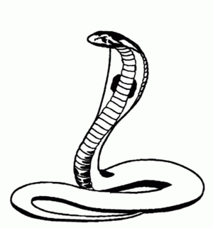 Disegno di serpente da stampare e colorare 45