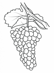 Disegno di uva da stampare e colorare 11
