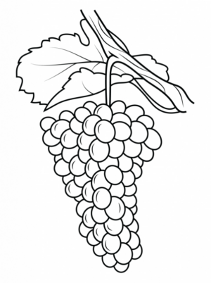 Disegno di uva da stampare e colorare 11