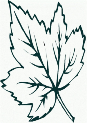 Disegno di foglia da stampare e colorare 45