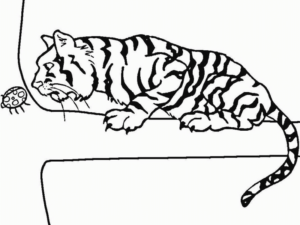 Disegno di tigre da stampare e colorare 2