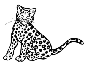 Disegno di leopardo da stampare e colorare 35