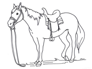 Disegno di cavallo da stampare e colorare 120