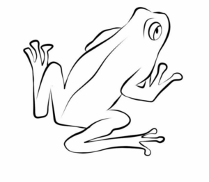 Disegno di rana da stampare e colorare 100