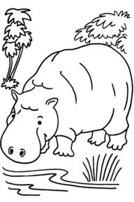 Disegno di ippopotamo da stampare e colorare 2