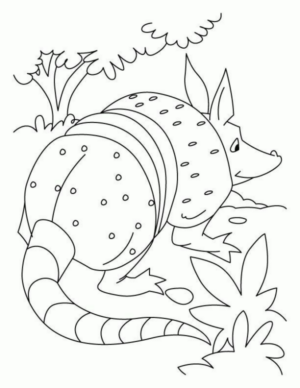 Disegno di armadillo da stampare e colorare 9