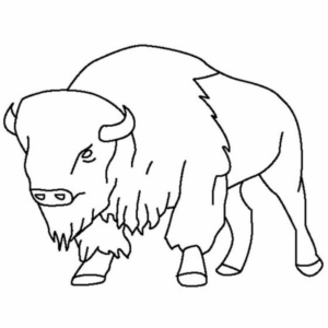 Disegno di bisonte da stampare e colorare 16
