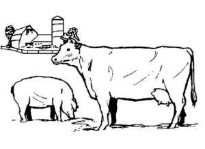 Disegno di mucca da stampare e colorare 7