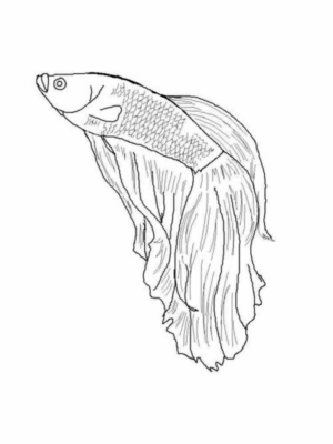 Disegno di pesce da stampare e colorare 264