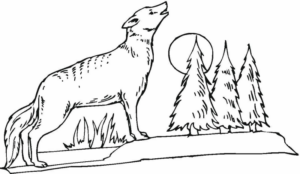 Disegno di lupo da stampare e colorare 61