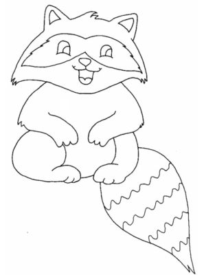 Disegno di procione da stampare e colorare 11