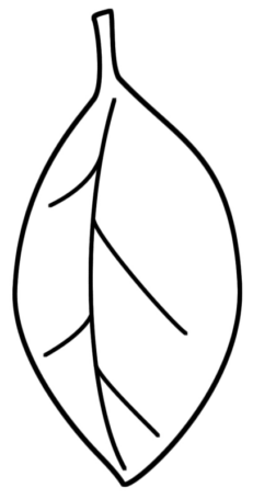 Disegno di foglia da stampare e colorare 62