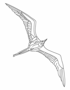 Disegno di uccello da stampare e colorare 48