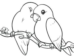 Disegno di pappagallo da stampare e colorare 38