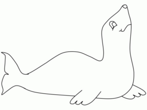 Disegno di foca da stampare e colorare 28