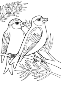 Disegno di passero da stampare e colorare 2