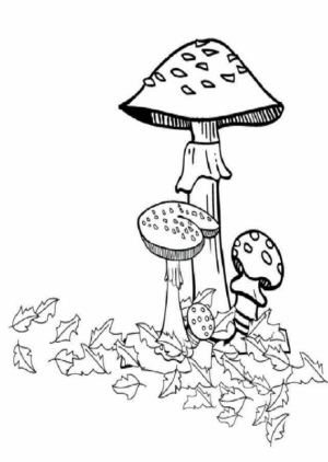 Disegno di fungo da stampare e colorare 2