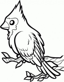 Disegno di uccello da stampare e colorare 35