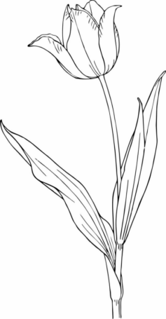 Disegno di fiore da stampare e colorare 14