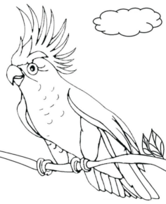 Disegno di pappagallo da stampare e colorare 78