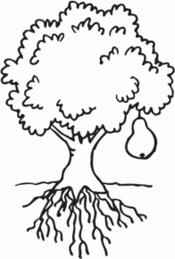 Disegno di albero da frutta da stampare e colorare 5