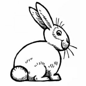 Disegno di coniglio da stampare e colorare 11