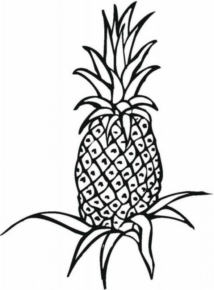 Disegno di ananas da stampare e colorare 14