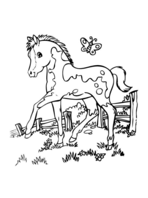 Disegno di cavallo da stampare e colorare 146
