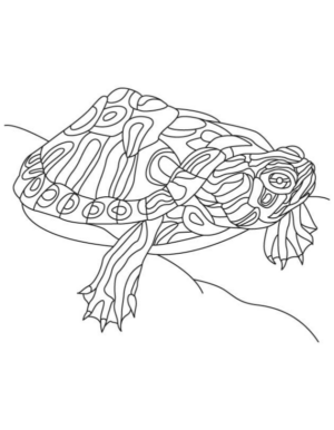 Disegno di tartaruga di mare da stampare e colorare 11