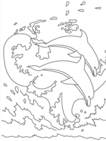 Disegno di delfino da stampare e colorare 60