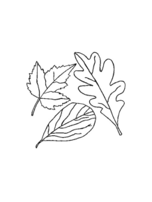 Disegno di foglia da stampare e colorare 125
