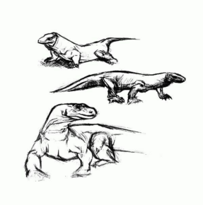 Disegno di iguana da stampare e colorare 5